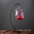 Clear Glass Vase Hanging Glass Terrarium